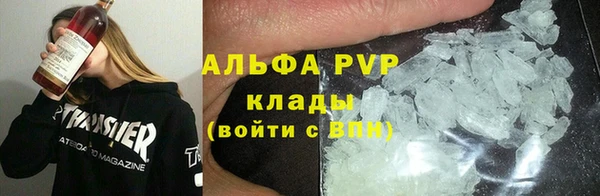 СК Алзамай