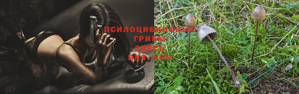 герыч Абинск