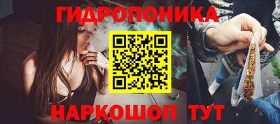 бошки Камышлов