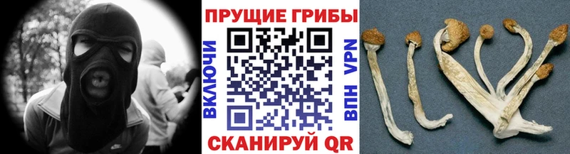 Псилоцибиновые грибы ЛСД  Элиста 