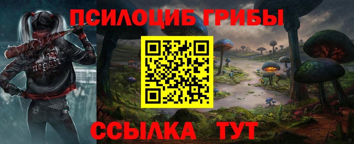 Псилоцибиновые грибы Magic Shrooms  Вход с VPN  Элиста 